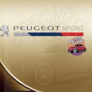 PEGATINA PEUGEOT SPORT MOD. 6