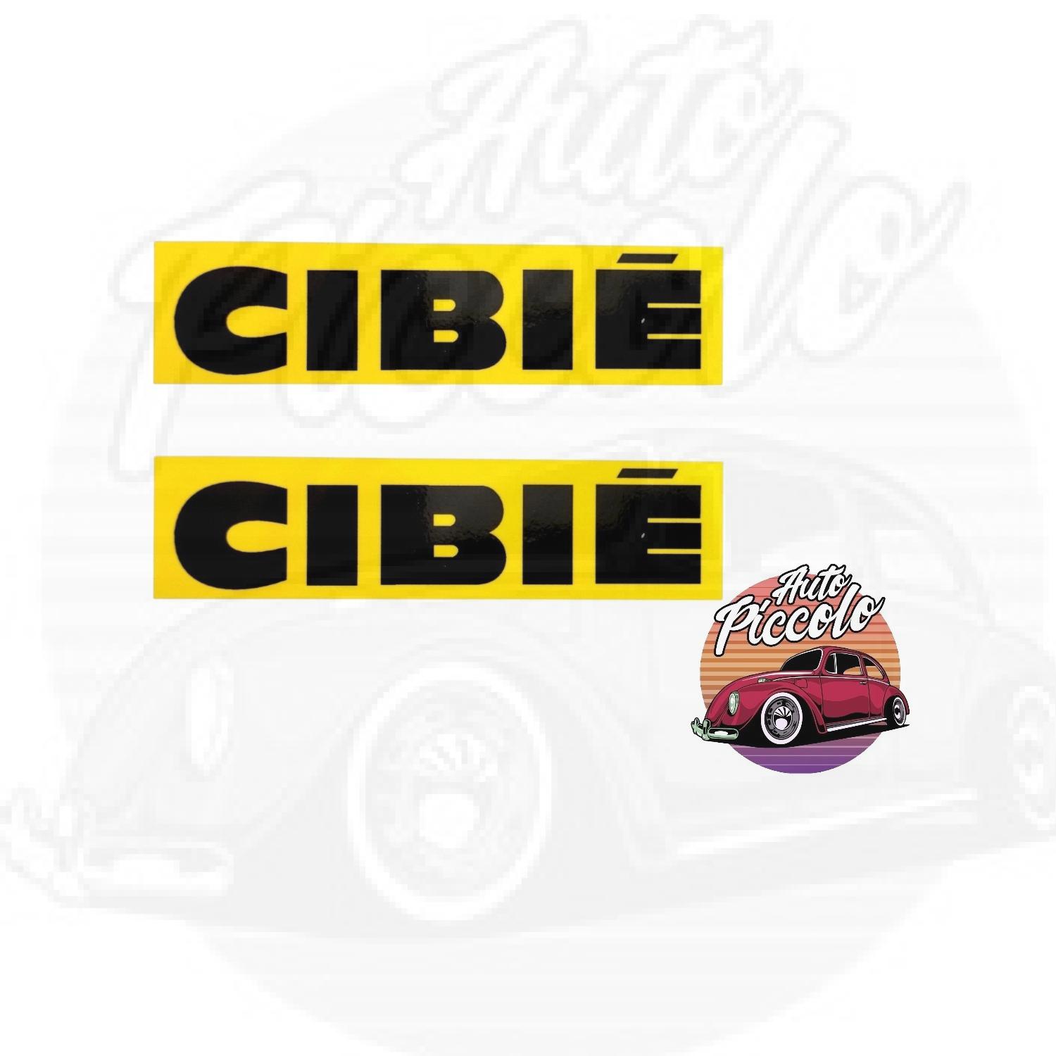 CIBIE 4